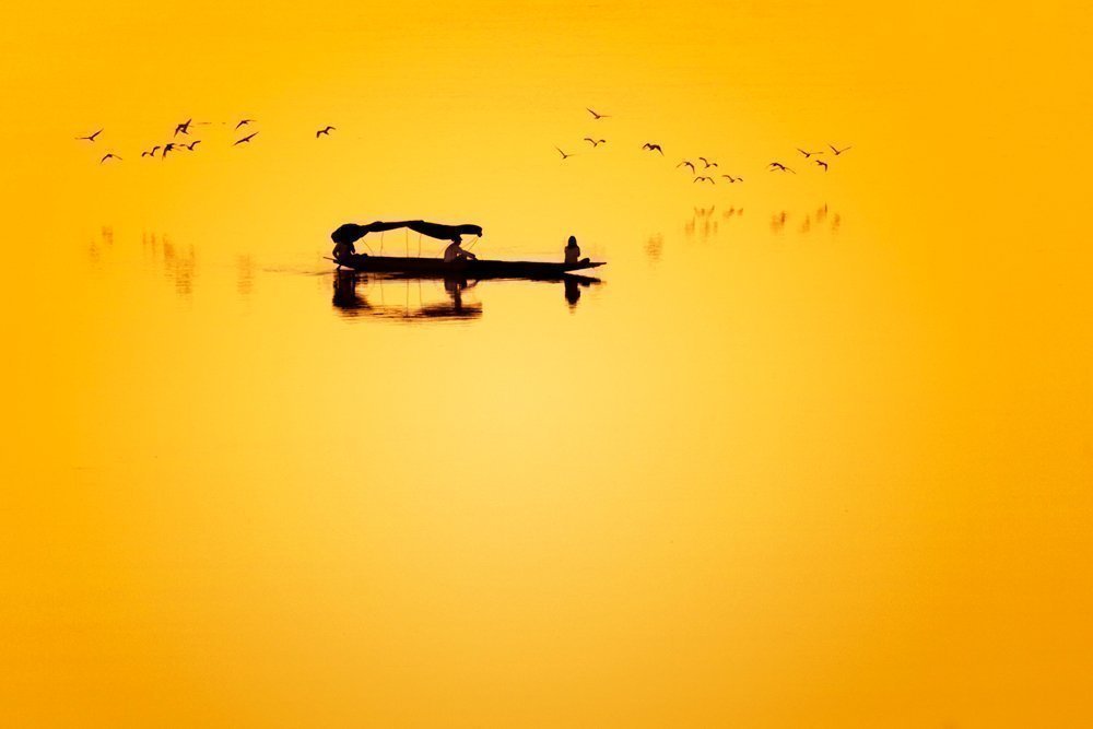 fotografía con predominancia amarilla