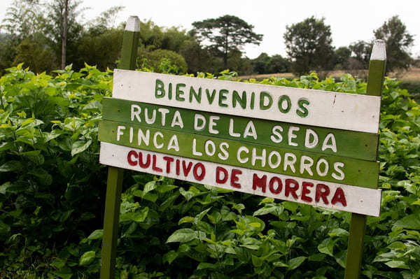 Letrero de bienvenida a la fina