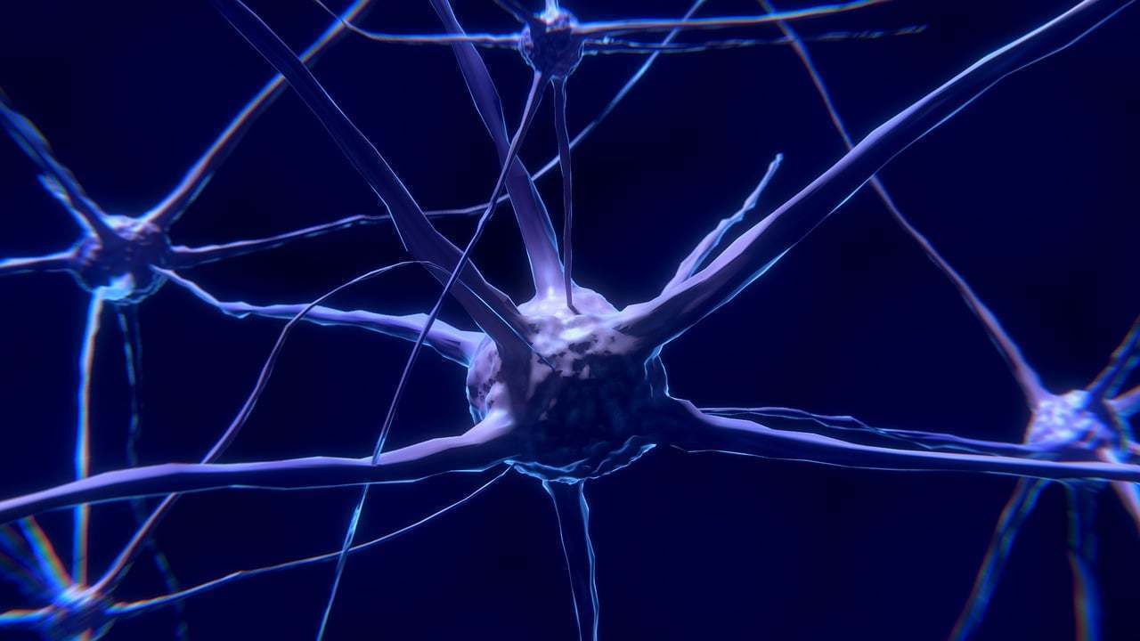 NEUROCIENCIA