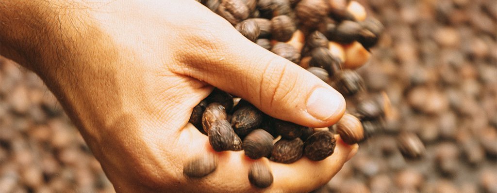 Curso cómo crear y potenciar una marca de café