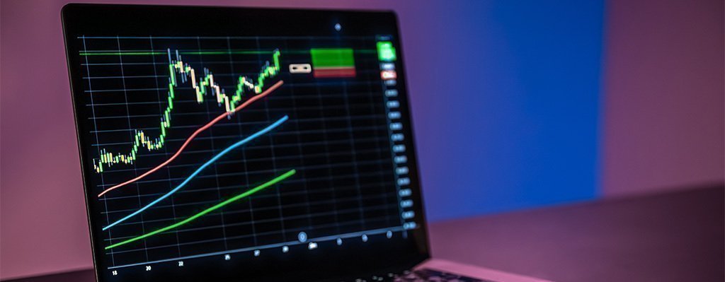 Curso Entrenamiento básico