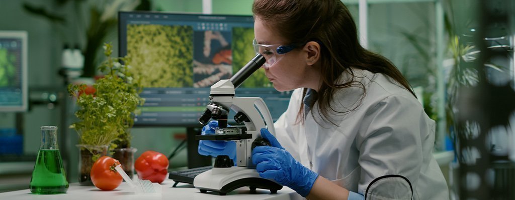 Curso Nanotecnología e innovación en alimentos