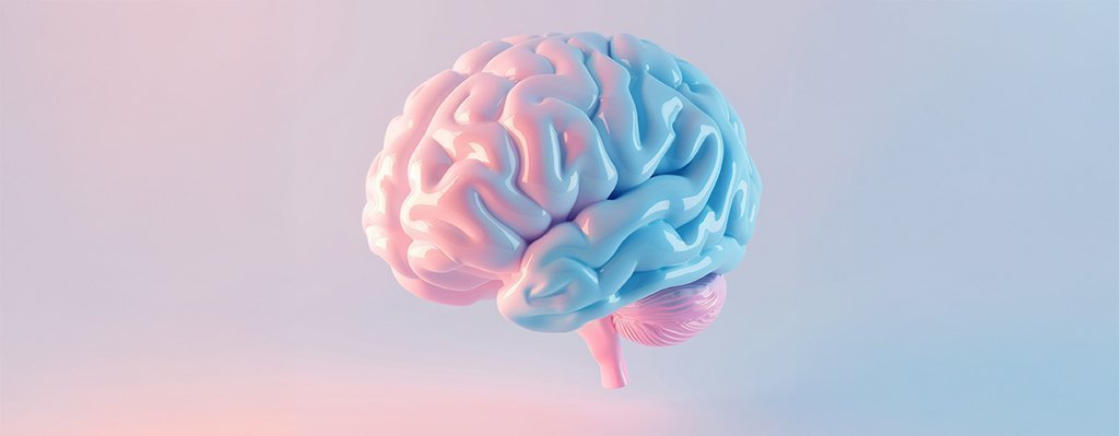 Curso Neuroherramientas para implementar la educación socioemocional en niños, niñas y adolescentes