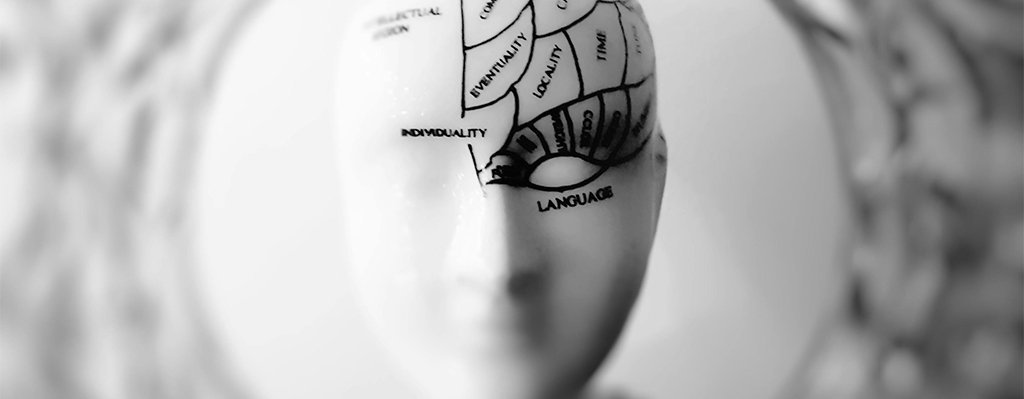 Curso Neuropsicología de los trastornos del neurodesarrollo
