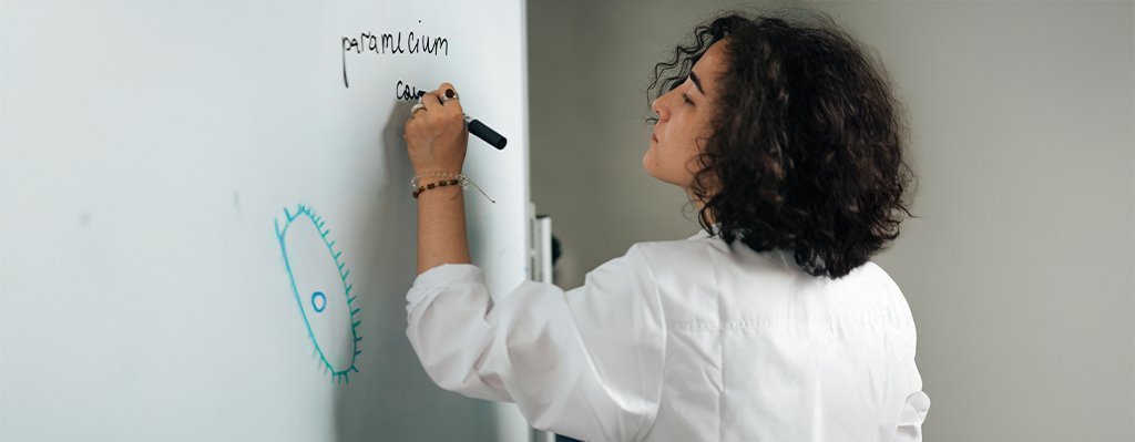 Curso Práctica Docente en la Práctica Clínica