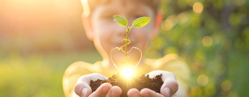 Curso Semillitas de Medicina