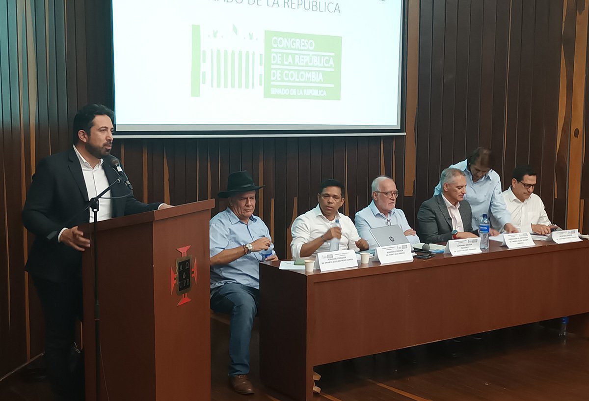 Diego Guevara, viceministro de Interior, durante su intervención ante la Comisión de Ordenamiento Territorial del Senado