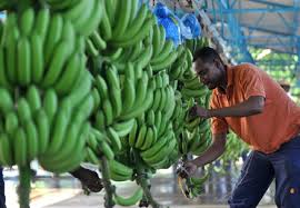 FOLU plantea acciones para el mejoramiento del secor alimentario y el uso del suelo en Antioquia.