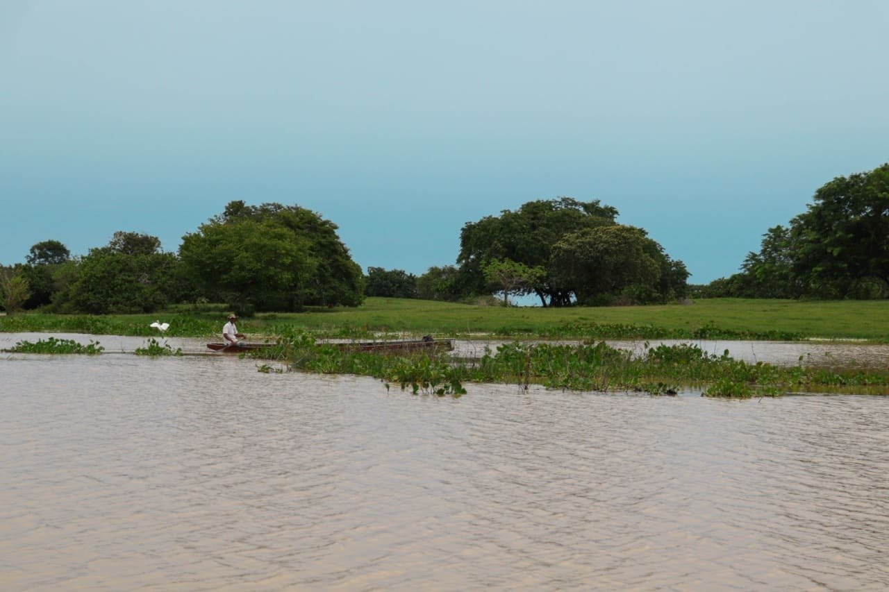 Foto tomada en la ciénaga de Ayapel