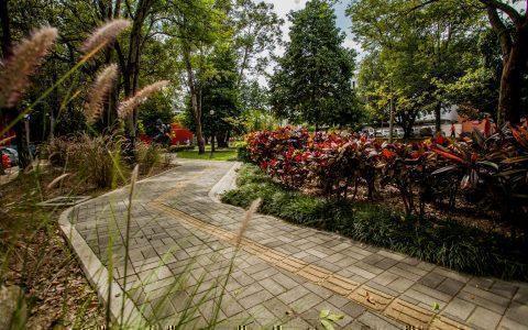 sendero peatonal rodeado de jardines