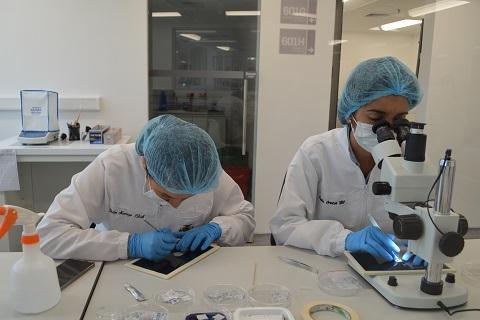 Investigador trabajando en uno de los nuevos laboratorios del bloque de Ingeniería