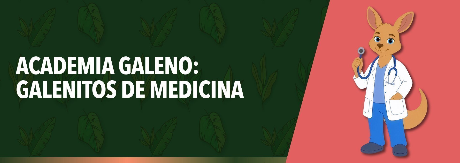 Galenitos de Medicina