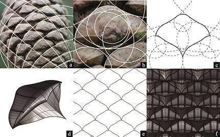 Proceso de abstracción digital, realizado con el software Rhinoceros