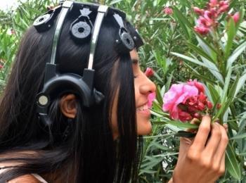 Laboratorio Sensaciones