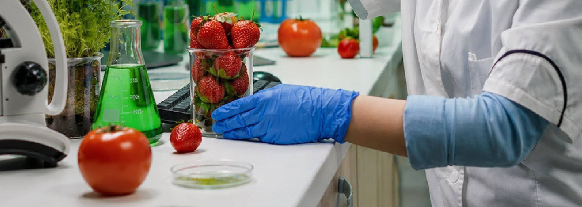 Nanotecnología e innovación en alimentos