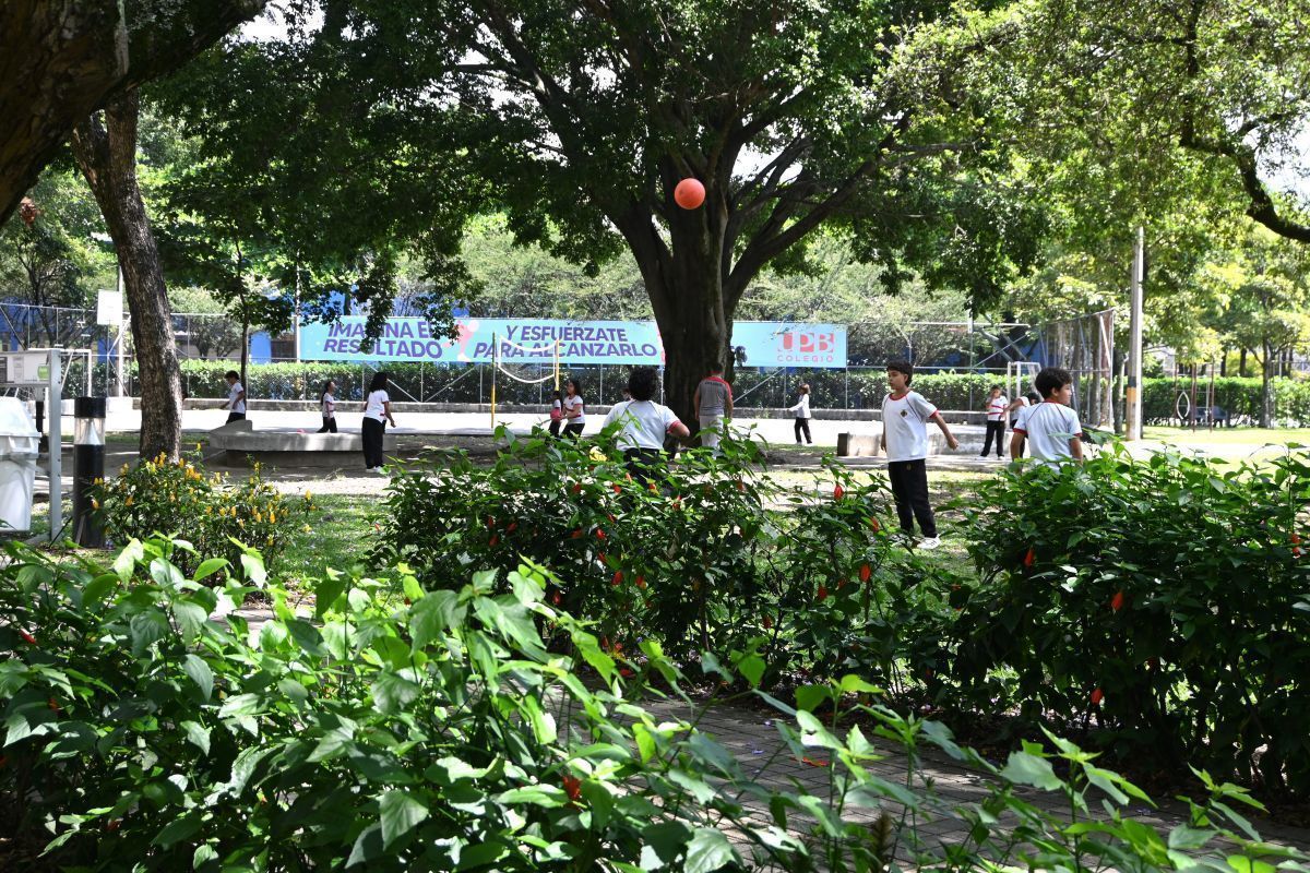 Sostenibilidad - GreenMetric