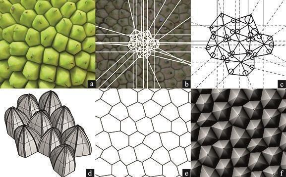 Figura 2. Proceso de modelación digital y síntesis geométrica a través del software Rhinoceros.  Imagen gentileza del Grupo de Investigación de Estudios en Diseño -GED-.