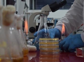 Ranking internacional