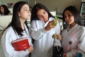 SemillerosGenerica_TipoD