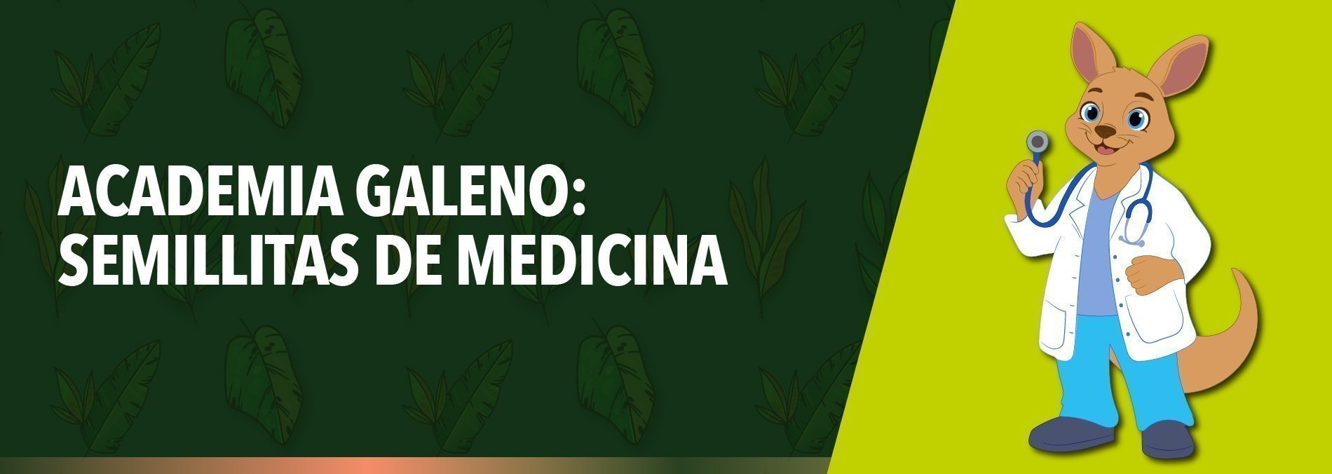 Semillitas de Medicina