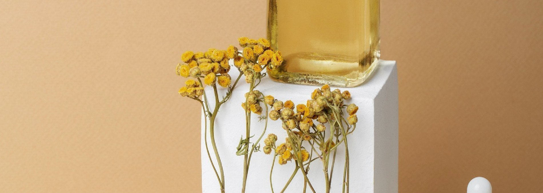 Taller Extractos de la naturaleza