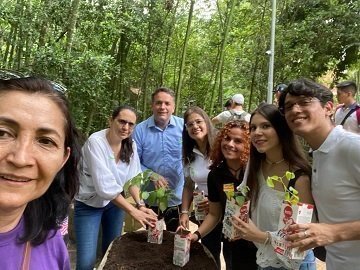 Foto tipo d