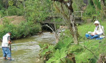 Foto tipo D ambiental