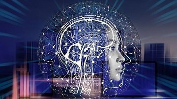 Foto Tipo D posgrados