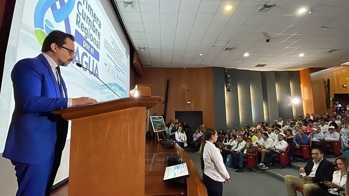 Tipo IN6 cumbre 2024