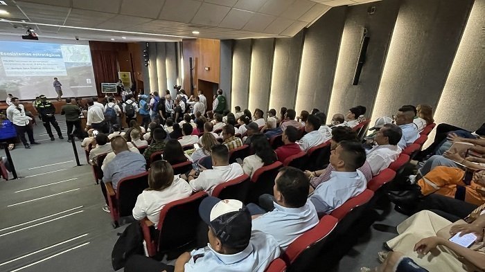 Tipo In9 cumbre 2024