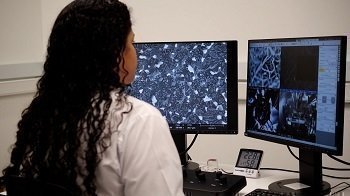 Microscopio