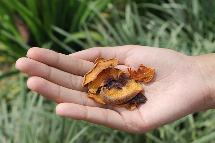 Foto Tipo Interna1 Cátedra Jairo Arturo Correa Gregory upbbga 2021