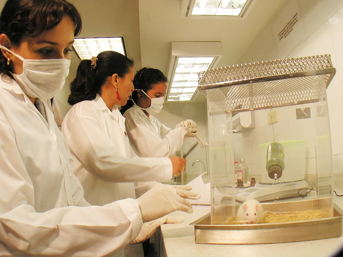 Foto Tipo Interna 1 Jovenes Talentos Minciencias