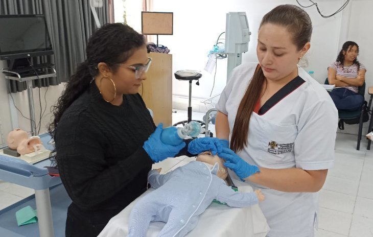 Ejes de formación transversal